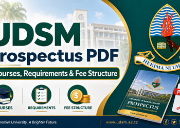 UDSM Prospectus 2026/2027 PDF: Courses, Requirements & Fee Structure